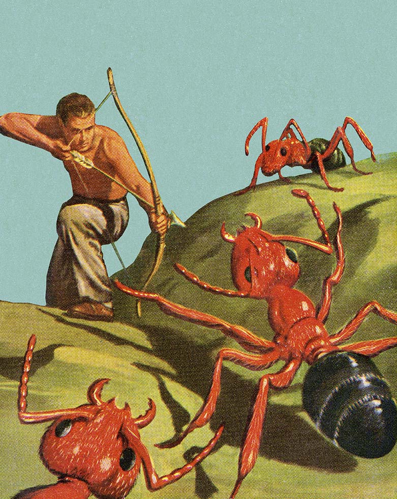 Write an Effective Bug Report, Issue or Ticket